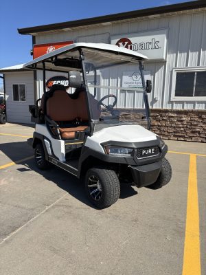 2025 PURE P40 Golf Cart