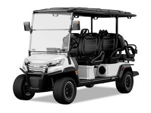 Epic Carts E60FX Golf Cart